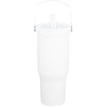 Carnival Recycled Sip Or Swig Tumbler 30oz
