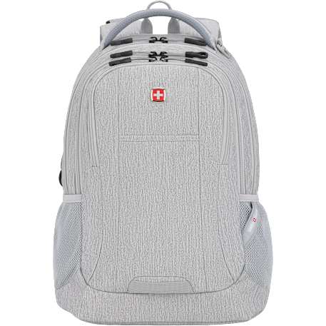 Swiss Gear Frost Peak Computer Backpack