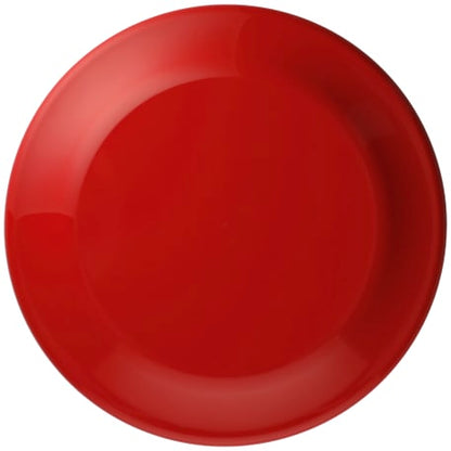 9-1/4 Inch Flyer Frisbee