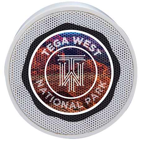 BuzzTurn Recycled Bluetooth Speaker