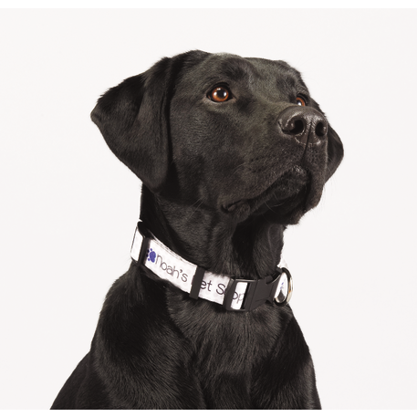 Full Color 1" Wide Adjustable Pet Collar